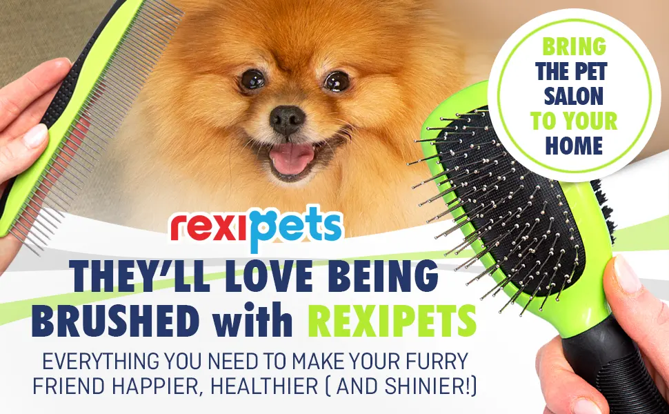 Rexipets Dog & Cat Brush & Comb Pet Grooming Set - Double Side (Small) - Ultimate Deshedding Tool - Lice And Flea Removing - Perfect Groomer's Tools - Strong Grip And Soft Bristles - cat brush dematting