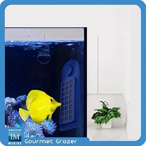 Innovative Marine Gourmet Gadget Grazer PRO - Magnetic Seaweed Feeder - grazer
