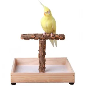 KINTOR Bird Stand Tabletop,Portable Tee Stand, Parrot Play Stand Perch Gym for Small Medium Parrot T Stand - Bird Stand Tabletop,Portable Tee Stand, Parrot Play Stand Perch Gym for Small Medium Parrot