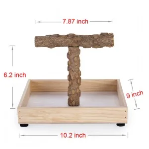 KINTOR Bird Stand Tabletop,Portable Tee Stand, Parrot Play Stand Perch Gym for Small Medium Parrot T Stand - Bird Stand Tabletop,Portable Tee Stand, Parrot Play Stand Perch Gym for Small Medium Parrot