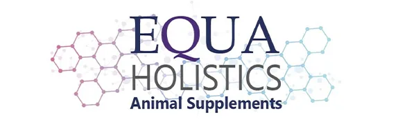 HealthyGut Avian Probiotics Dietary Supplement for Parrots, All-Natural Digestive System Formula 120 Servings - Equaholistics