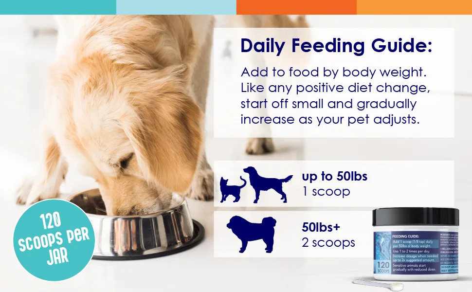 Probiotics for Cats & Dogs - (120 Scoops) Probiotic Miracle - Advanced Formula to Stop Diarrhea, Loose Stool, and Yeast. - dosage probiotics dogs