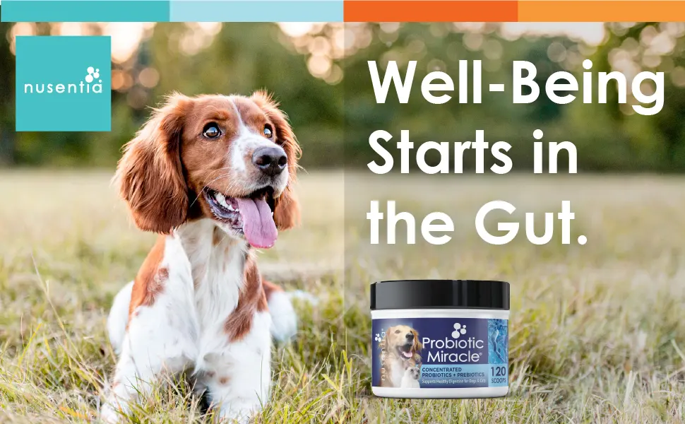 Probiotics for Cats & Dogs - (120 Scoops) Probiotic Miracle - Advanced Formula to Stop Diarrhea, Loose Stool, and Yeast. - probiotic dog cat