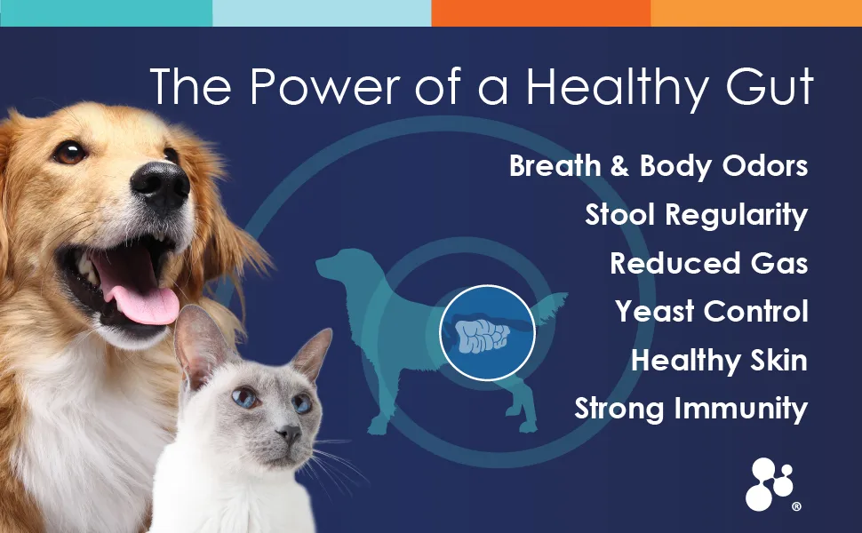 Probiotics for Cats & Dogs - (120 Scoops) Probiotic Miracle - Advanced Formula to Stop Diarrhea, Loose Stool, and Yeast. - probiotic miracle benefits