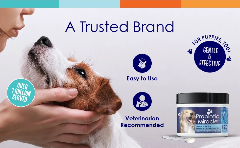 Probiotics for Cats & Dogs - (120 Scoops) Probiotic Miracle - Advanced Formula to Stop Diarrhea, Loose Stool, and Yeast. - veterinary probiotics