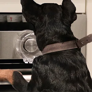 EUDEMON 1 Pack Oven Door Lock(Black) & 6 Pack Stove Knob Cover(Clear) Bundle - dog proof