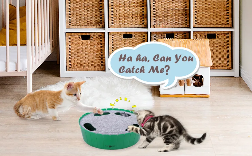 Pawaboo Cat Toy with Running Mouse, Electric Interactive Motion Cat Toy Automatic Rotating Teaser Pop and Play Hide and Seek Hunt Toy for Pet Cat Kitten Play Fun Excercise Green - product information 7