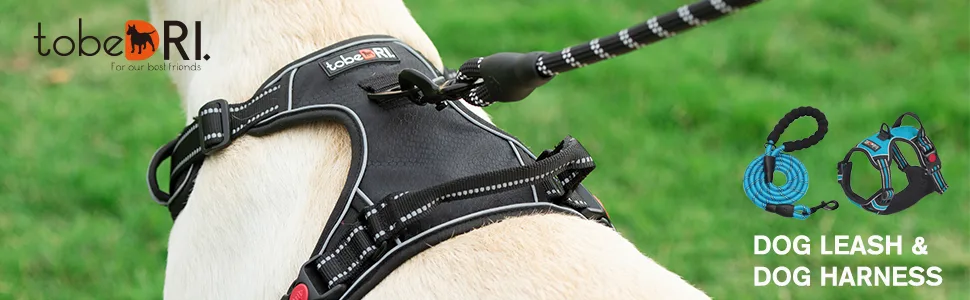 tobeDRI No Pull Dog Harness Adjustable Reflective Oxford Easy Control Medium Large Dog Harness with A Free Heavy Duty 5ft Dog Leash Large Blue Harness+Leash - DOG HARNESS