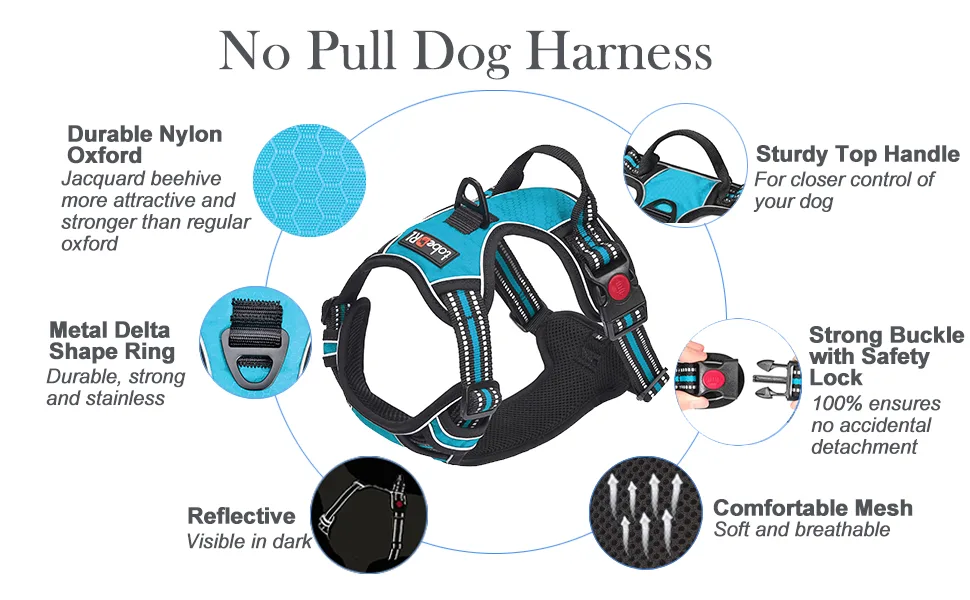tobeDRI No Pull Dog Harness Adjustable Reflective Oxford Easy Control Medium Large Dog Harness with A Free Heavy Duty 5ft Dog Leash Large Blue Harness+Leash - dog harness