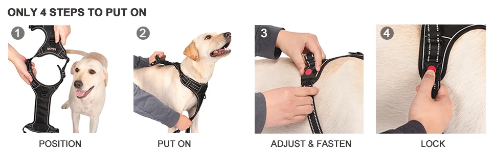 tobeDRI No Pull Dog Harness Adjustable Reflective Oxford Easy Control Medium Large Dog Harness with A Free Heavy Duty 5ft Dog Leash Large Blue Harness+Leash - DOG HARNESS