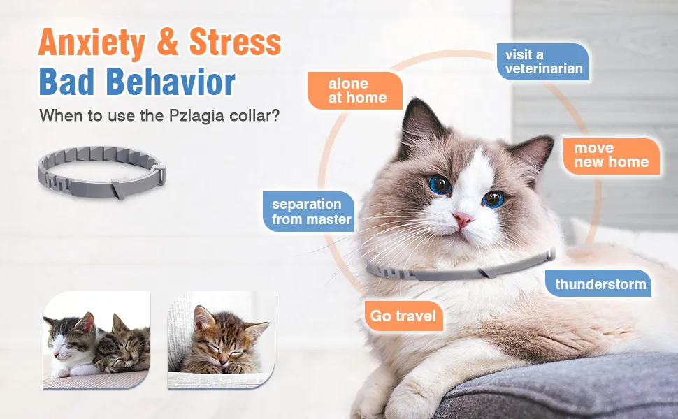 4 Packs Cat Calming Collar for Cats Pheromone Collar Efficient Relieve Reduce Anxiety Stress Pheromones Calm Relaxing Comfortable Collars Long-Lasting 30 Days Adjustable Breakaway Design Gray Grey - calming collar cat