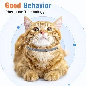 4 Packs Cat Calming Collar for Cats Pheromone Collar Efficient Relieve Reduce Anxiety Stress Pheromones Calm Relaxing Comfortable Collars Long-Lasting 30 Days Adjustable Breakaway Design Gray Grey - cat calming collar