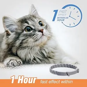 4 Packs Cat Calming Collar for Cats Pheromone Collar Efficient Relieve Reduce Anxiety Stress Pheromones Calm Relaxing Comfortable Collars Long-Lasting 30 Days Adjustable Breakaway Design Gray Grey - cat pheromone collar