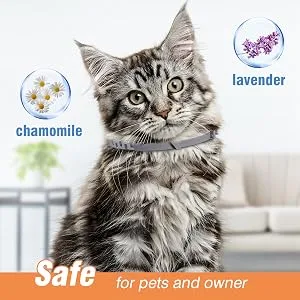 4 Packs Cat Calming Collar for Cats Pheromone Collar Efficient Relieve Reduce Anxiety Stress Pheromones Calm Relaxing Comfortable Collars Long-Lasting 30 Days Adjustable Breakaway Design Gray Grey - pheromone collar for cats