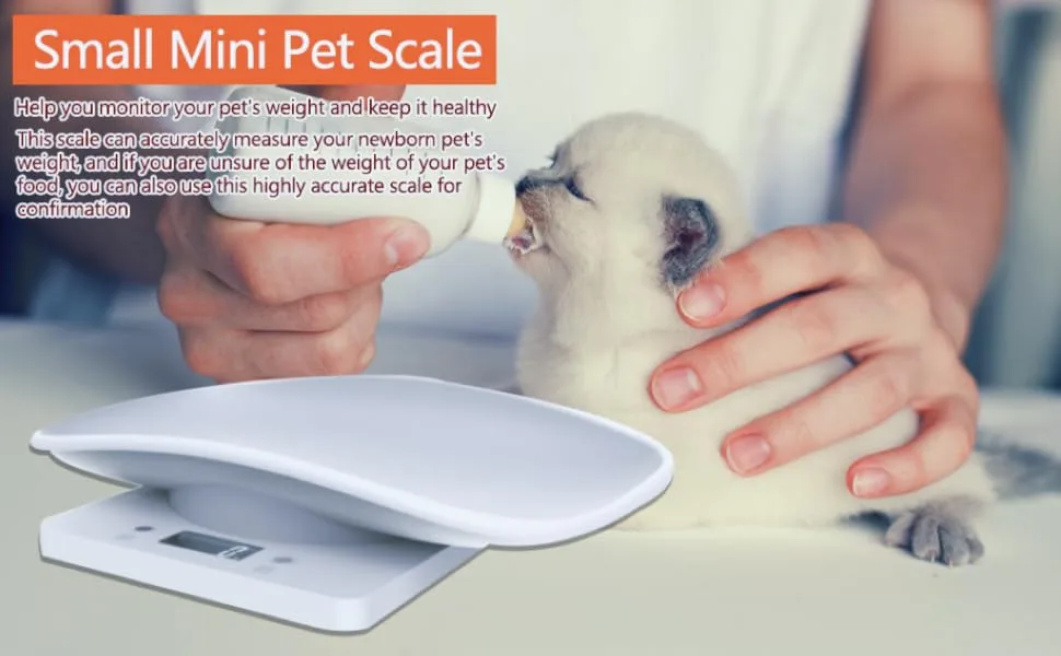 BIGNADO Digital pet Scale for Small Animal High Precision Wiggle-Proof Multi-Function Electronic Scales Weigh Your Kitten Rabbit or Puppy Hamsters Mini Gram Weight for Newborn Pets, 11.6''*7.3'' - product information 19