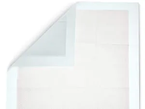 Amazon Basics Dog and Puppy Pads, Leak-proof 5-Layer Pee Pads with Quick-dry Surface for Potty Training 100 Count Regular Standard - Amazon Basics