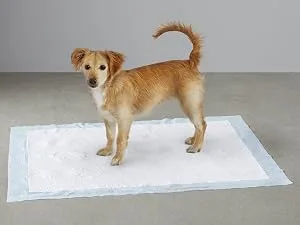 Amazon Basics Dog and Puppy Pads, Leak-proof 5-Layer Pee Pads with Quick-dry Surface for Potty Training 100 Count Regular Standard - Amazon Basics dog and puppy pee pads for puppy potty training, travel, senior dogs