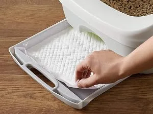 Amazon Basics Cat Pad Refills for Litter Box Fresh Scent 40 Count (Pack of 1) - Amazon Basics