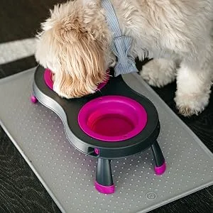 Dexas Popware for Pets Double Elevated Pet Feeder Large/2.5 Cup Capacity Bowls Pro Blue - dog, dog feeder, cat feeder, elevated feeder, slow feeder, dog food, cat food, RV, travel