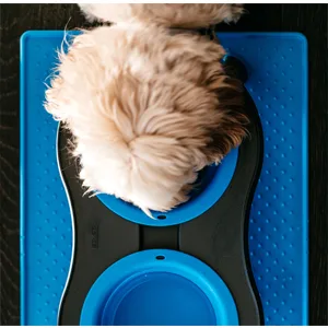 Dexas Popware for Pets Double Elevated Pet Feeder Large/2.5 Cup Capacity Bowls Pro Blue - dog, dog feeder, cat feeder, elevated feeder, slow feeder, dog food, cat food, RV, travel