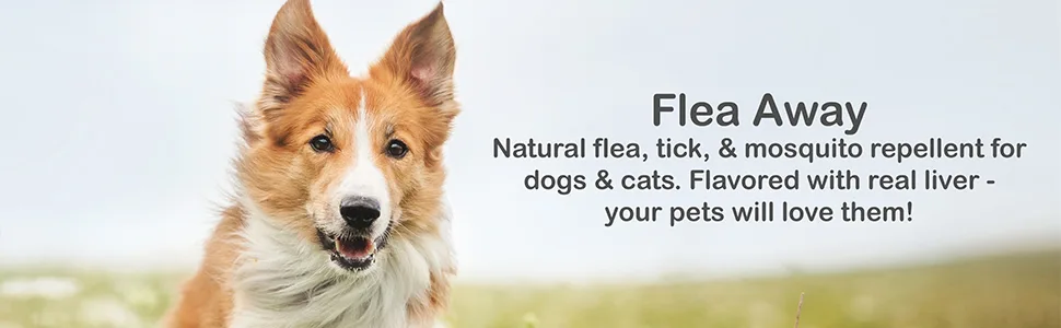 Flea Away All Natural Flea, Tick, and Mosquito Repellent for Dogs and Cats, 100 Chewable Tablets 1 Single - flea away