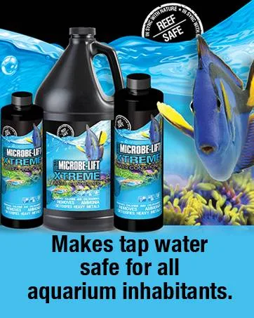 Microbe-Lift Lice & Anchor Worm, 16 fl. oz., 16 FZ 1 Count (Pack of 1) - block 6