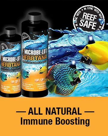 Microbe-Lift Lice & Anchor Worm, 16 fl. oz., 16 FZ 1 Count (Pack of 1) - block 7