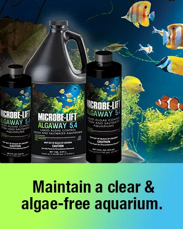 Microbe-Lift Lice & Anchor Worm, 16 fl. oz., 16 FZ 1 Count (Pack of 1) - block 9