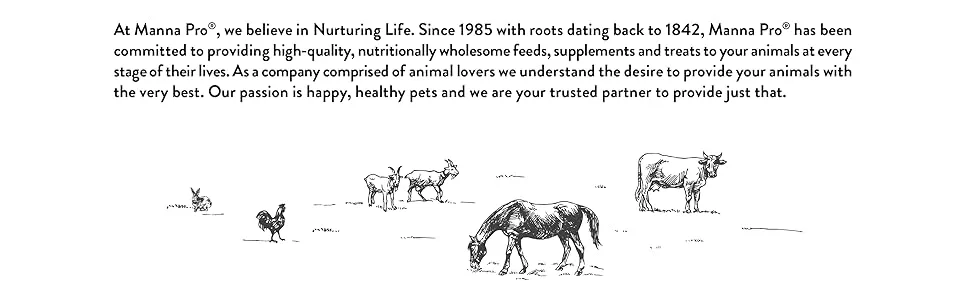 Manna Pro Rabbit Feed | with Vitamins & Minerals | Complete Feed for Rabbits | No Artificial Colors or Flavors | 5lb - manna pro