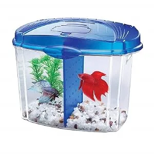 Aqueon Betta Bowl Kit Black .5 Gallon - product information 1