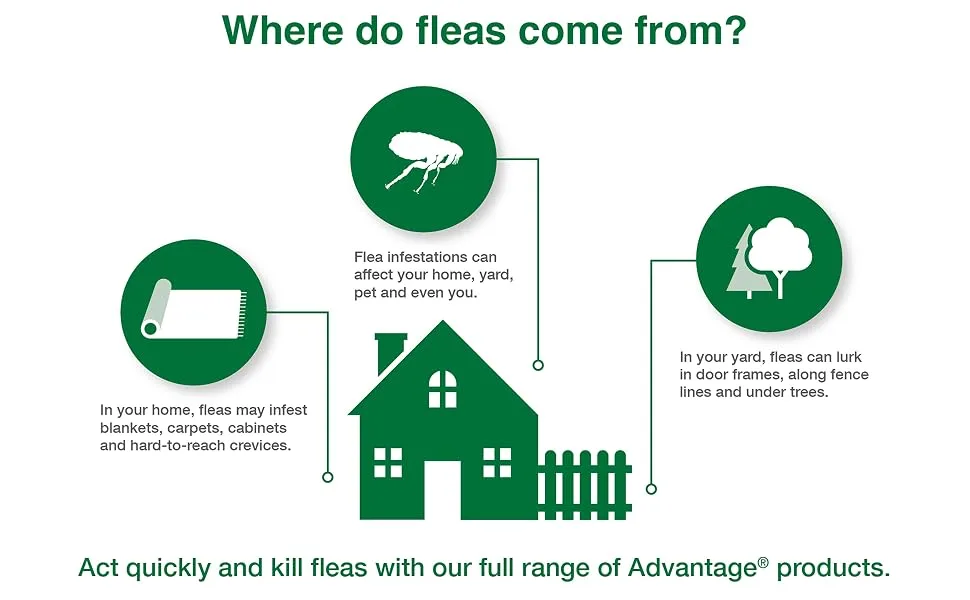 Advantage Flea, Tick, Dust Mite and Bed Bug Spot and Crevice Spray, 24 oz - Advantage Home & Yard