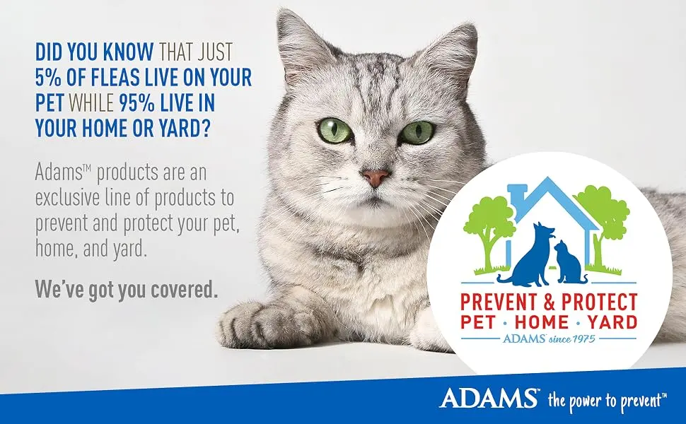 Adams Plus Flea & Tick Collar for Cats | Breakaway Collar | 2 Pack | 7 Months Protection | Kills & Repels Fleas, Flea Eggs, Flea Larvae and Kills Ticks, Nymphs, and Tick Larvae - Adams Flea & Tick Cat