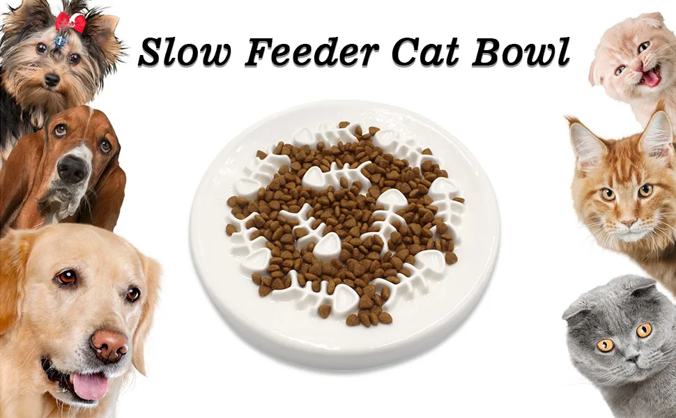 Slow Feeder Cat Bowl,Cat Puzzle Feeder Ceramic Dish with Fish Bone Design,Fun Interactive Slow Down The Eating Speed of Pets,Against Bloat,Indigestion - Slow Feeder Cat Bowl