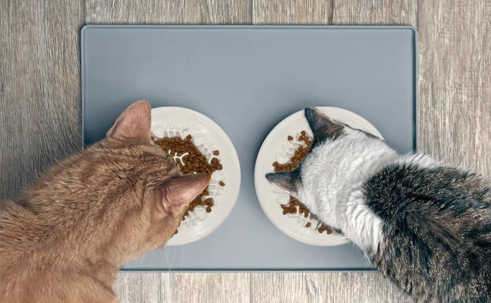 Slow Feeder Cat Bowl,Cat Puzzle Feeder Ceramic Dish with Fish Bone Design,Fun Interactive Slow Down The Eating Speed of Pets,Against Bloat,Indigestion - Slow Feeder Cat Bowl