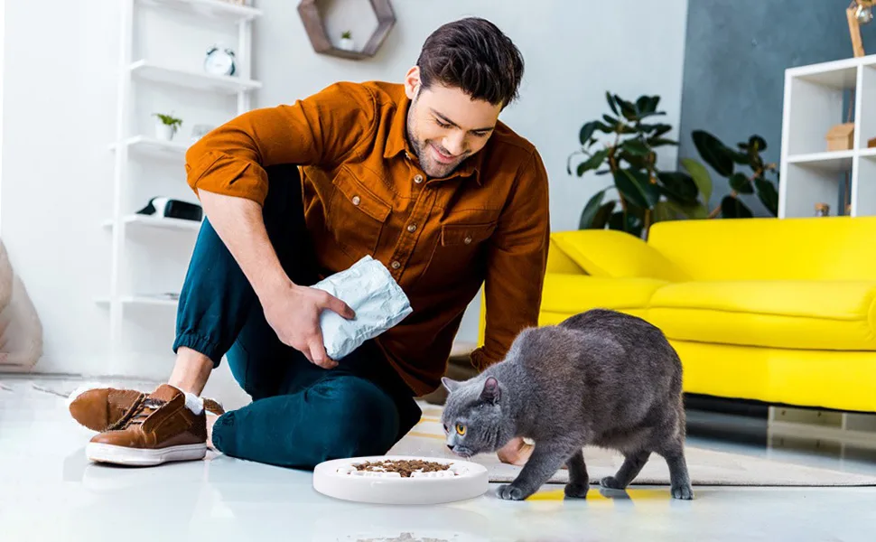 Slow Feeder Cat Bowl,Cat Puzzle Feeder Ceramic Dish with Fish Bone Design,Fun Interactive Slow Down The Eating Speed of Pets,Against Bloat,Indigestion - Slow Feeder Cat Bowl
