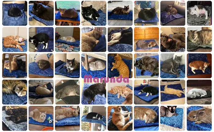 Marunda Self-Warming Cat Bed ,Super Soft Dog Bed Crate Bed Blanket, Self Heating Cat Pad, Thermal Cat and Dog Warming Bed Mat. Self-Warming S - 22" * 15" - THERMAL cat mat