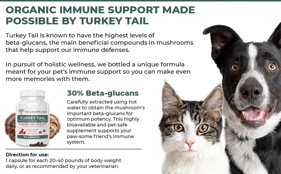 Turkey Tail Pet Support - Dog Multivitamins and Supplements for Immune Support, Gut Health & Wellness - Grain-Free, Gluten-Free, Vet-Approved Dog Supplement (90ct) - product information 5