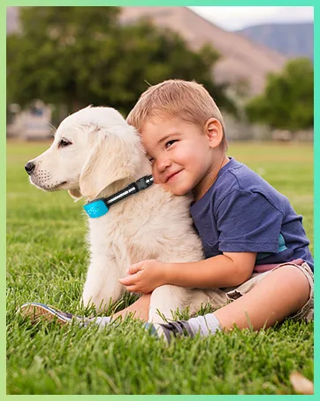 Bark Collar for Small Medium Large Dogs 5-150 Lbs,Bark Collar with Adjustable Sensitivity and Intensity Beep Vibration and Optional Shock,Rechargeable Dog Bark Collar No More False Trigger Black - bark collar