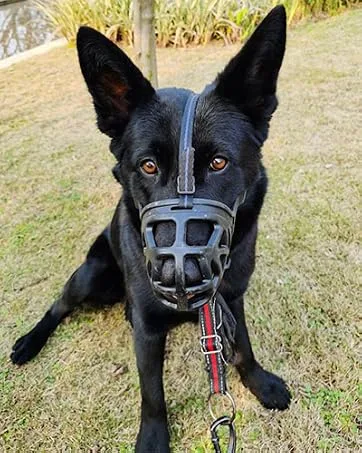 Dog Muzzle, Breathable Basket Muzzles for Small, Medium, Large and X-Large Dogs, Stop Biting, Barking and Chewing, Best for Aggressive Dogs Large Black - dog muzzle for biting