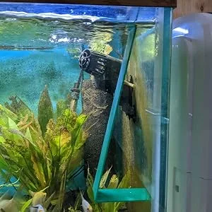 Hang on Top Angelfish & Discus Breeding Slate. Green Acrylic Simulates Amazon Sword Leaf Providing Spawning Surface for Egg Laying. Fish Room Tested & Breeder Approved. Made in USA - hang on top slate