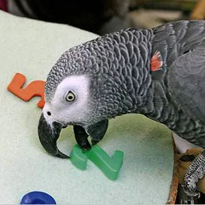 KINTOR Bird Chewing Toy Large Medium Parrot Cage Bite Toys African Grey Macaws Cockatoos Eclectus Amazon Waterfall - Knots Block Chewing Toy