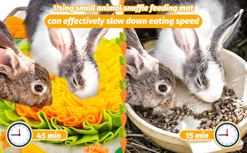 Rabbit Foraging Mat with Fixing Handle- Machine Washable Polar Fleece Pet Snuffle Pad- Funny Interactive Nosework Feeding Mat- Rabbit Hay Feeder Mat for Rabbits Bunny Guinea Pigs Ferrets Multi-colored - product information 6