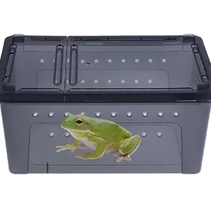 kathson Reptile Feeding Box Small Snake Breeding Container Transparent Portable Hatching Incubation Box Mini Pet House for Lizard Tarantula Spider Frog Scorpion (Black) - product information 4