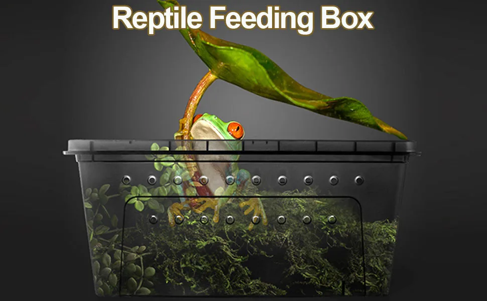 kathson Reptile Feeding Box Small Snake Breeding Container Transparent Portable Hatching Incubation Box Mini Pet House for Lizard Tarantula Spider Frog Scorpion (Black) - top1