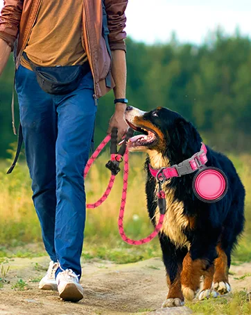 Cat Harness and Leash Set for Walking Escape Proof for Small Large cat Kitten Harness with ID tag Pocket X-Small Pink - dog collar leash