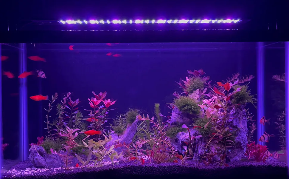 Water Rebirth Aquarium Lights Fish Tank Light (Switch Version, 18-24'') Switch Version 18-24'' - aquarium led light