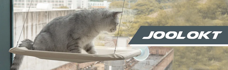 Cat Window Perch, Cat Window Hammock, Window Perch for Cats Inside Up to 50lbs - Cat Window Hammock