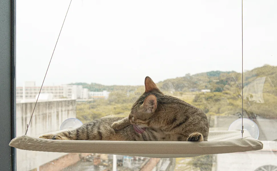Cat Window Perch, Cat Window Hammock, Window Perch for Cats Inside Up to 50lbs - Cat Window Perch