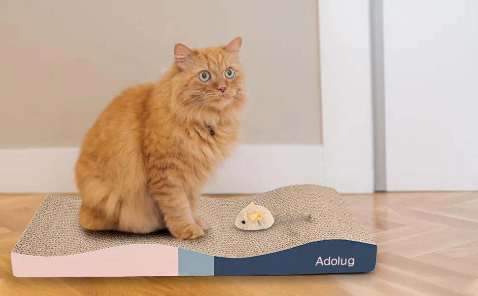 Adolug Cat Scratch Pad, Cat Scratcher Cardboard with Premium Reversible Scratch Textures Design, Corrugated and Zero Odor Cat Scratcher with Catinp and Mini Toy 3PCS - product information 10