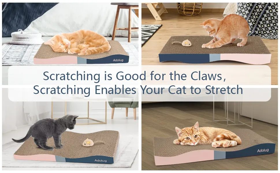 Adolug Cat Scratch Pad, Cat Scratcher Cardboard with Premium Reversible Scratch Textures Design, Corrugated and Zero Odor Cat Scratcher with Catinp and Mini Toy 3PCS - product information 6